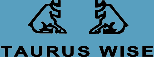 Tauruswise Danışmanlık